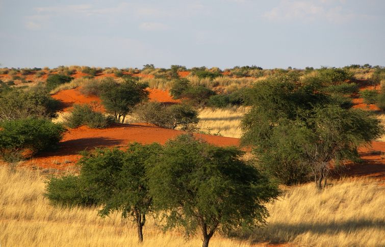 064 Namibia Okt 2006 .JPG